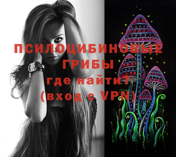 индика Хадыженск