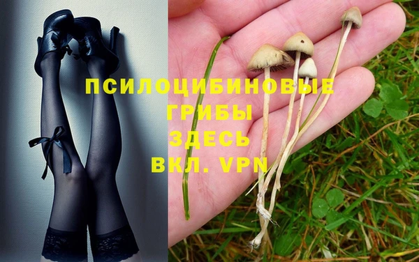 ешки Новокубанск