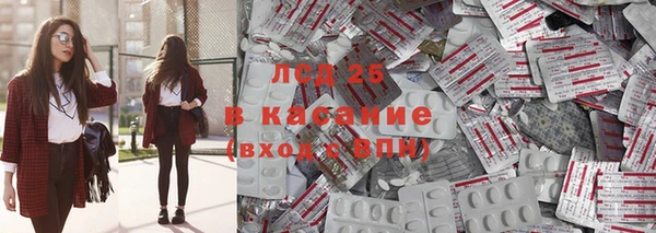 ПСИЛОЦИБИНОВЫЕ ГРИБЫ Нея