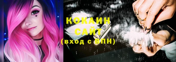 гидра Новодвинск