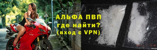 ПСИЛОЦИБИНОВЫЕ ГРИБЫ Нея