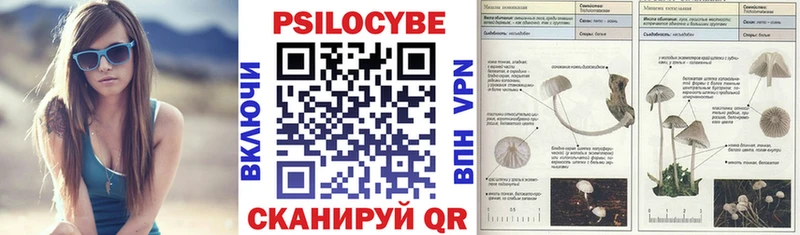 где купить наркоту  дарк нет Telegram  Псилоцибиновые грибы GOLDEN TEACHER  Зеленодольск  гидра ONION 