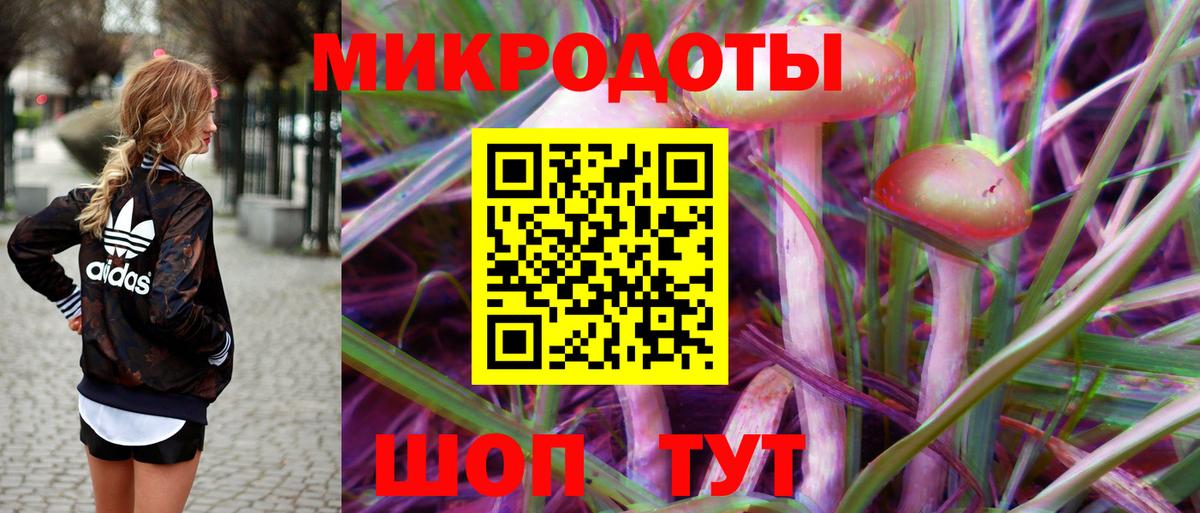 Галлюциногенные грибы Psilocybe  Зеленодольск 