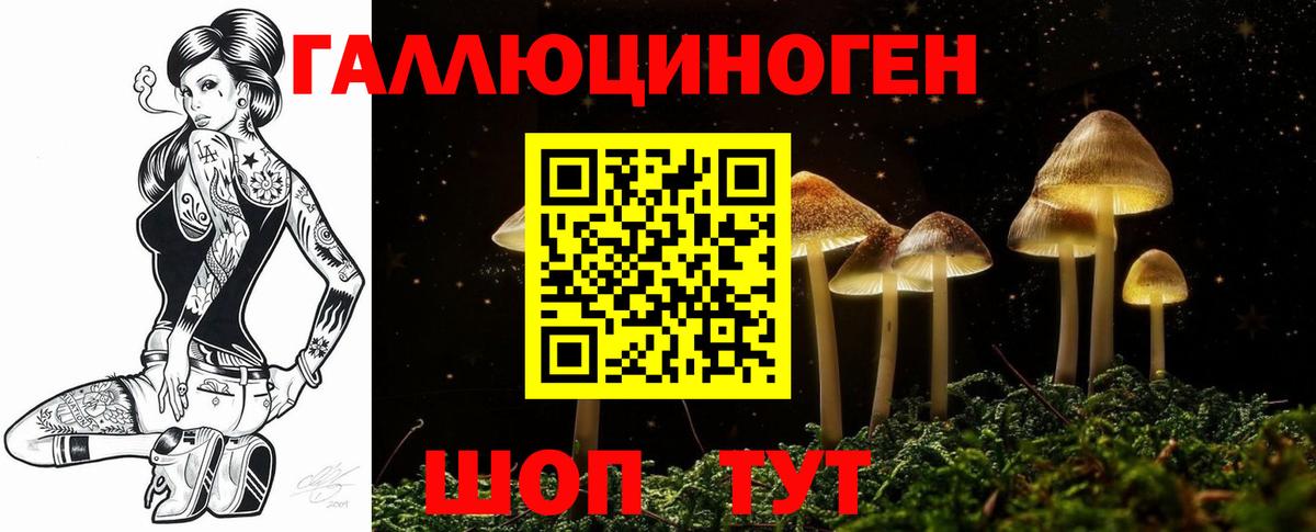 Псилоцибиновые грибы прущие грибы Зеленодольск