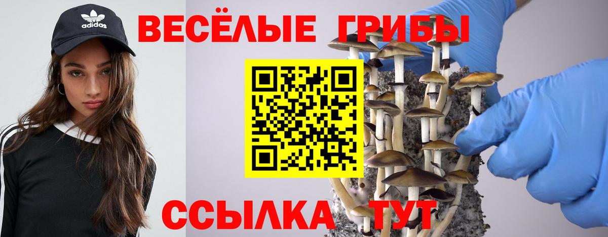 Псилоцибиновые грибы GOLDEN TEACHER  Вход с VPN  Зеленодольск 